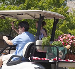 Town Center Shopping by Golf Cart