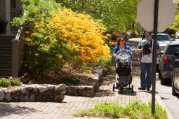 Parents enjoy a stroll on quaint cobblestone sidewalk during the Mt Laurel Spring Festival.
