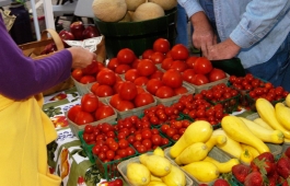 The Mt Laurel Farmer's Market gives residents easy access to fresh fruits and vegetables.   
