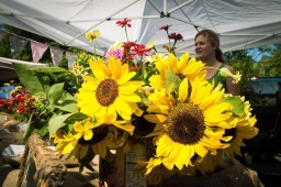Bright, colorful flowers are a main attraction at the Mt Laurel Spring Festival.   