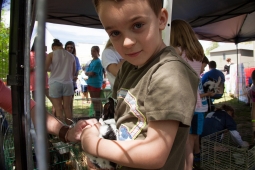 The petting zoo at the Mt Laurel Spring Festival is always a big hit with local children. 