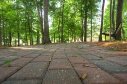 Brick paths and park benches offer residents a place to rest within nature.                   