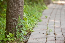 Easy access to the outdoors is just one reason why residents love Mt Laurel.                   