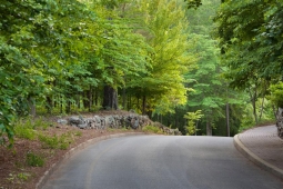 Tree-lined roads welcome residents home to Mt Laurel.                   