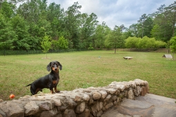 Have a doggy play day at the beautiful and spacious Dog Park in Mt Laurel. 