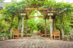 A sidewalk in Mt Laurel leads to Dogwood Court, with a special - almost magical - entrance.  